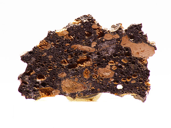 geschockter Belemnit aus dem N�rdlinger Ries