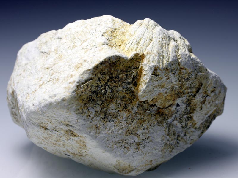 Strahlenkalk aus dem Steinheimer Becken