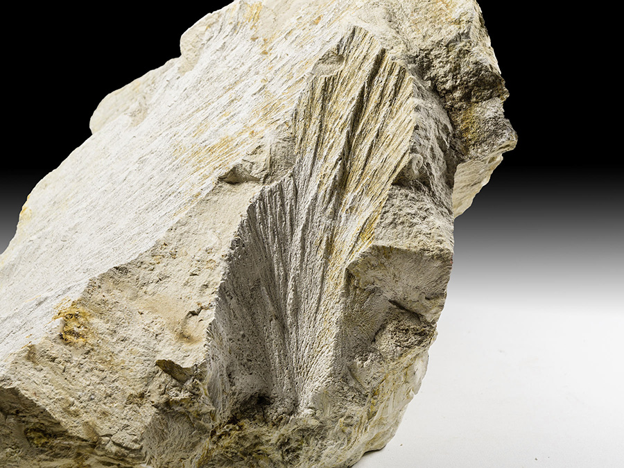 Strahlenkalk - Shatter Cone