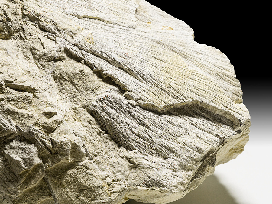 Strahlenkalk - Shatter Cone