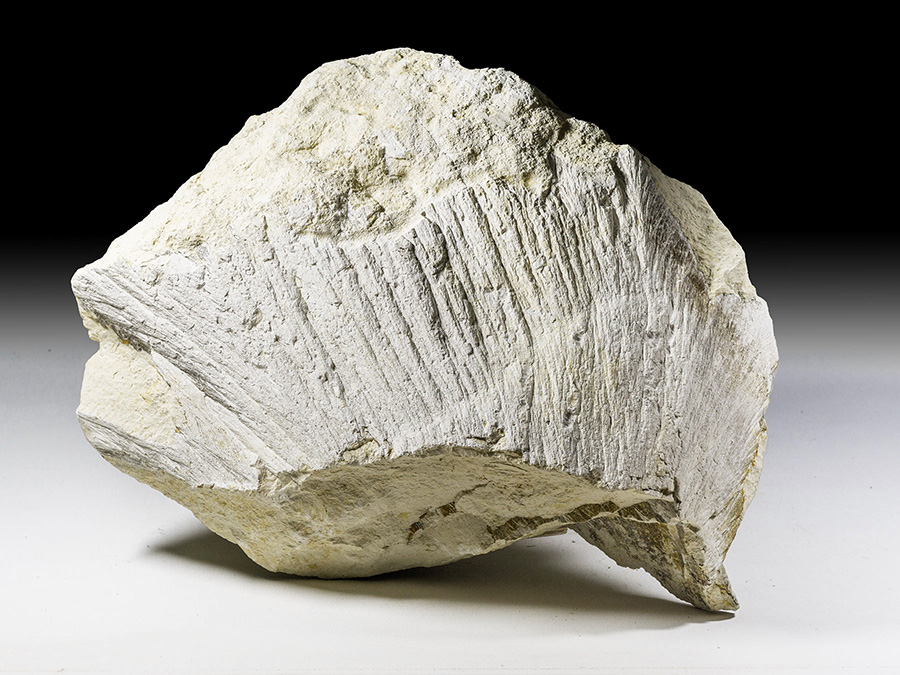 Strahlenkalk - Shatter Cone