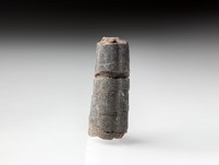 geschockter Belemnit