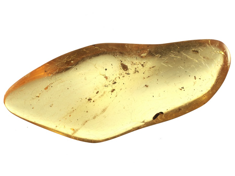 Kopal mit Insekten