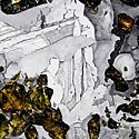 Seymchan Pallasite aus Russland