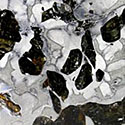 Seymchan-Pallasite aus Russland