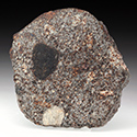 Steinmeteoriten mit Chondren aus der Sahara