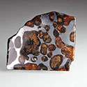 Seymchan Pallasite aus Russland
