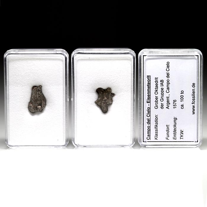 kleine Campo del Cielo Meteoriten in Sammelkstchen