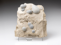 Menilith-Opal