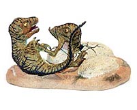 schlpfende Tyrannosaurier