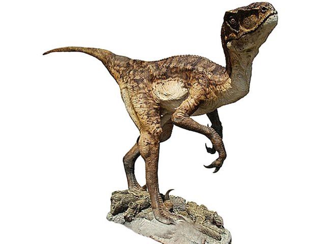 Deinonychus Modell
