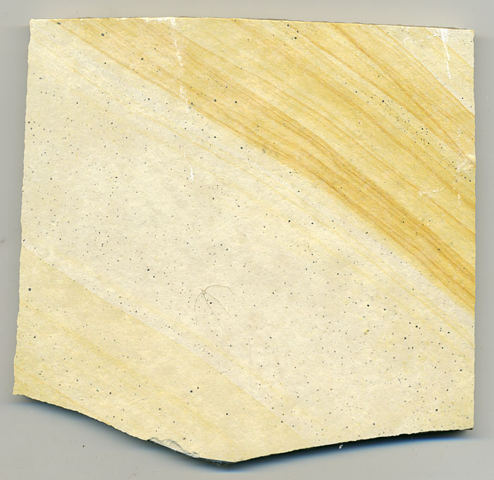 Schlangenstern aus dem Solnhofener Plattenkalk