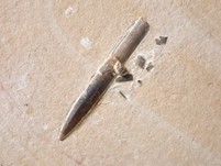 Belemnit aus Nusplingen