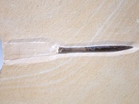 Belemnit mit Phragmokon aus Nu..