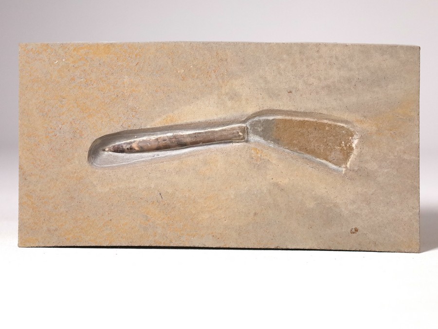 Belemnit mit Phragmokon aus Nu..