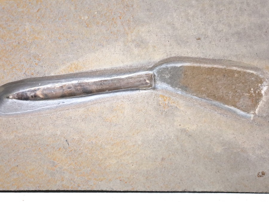 Belemnit mit Phragmokon aus Nu..