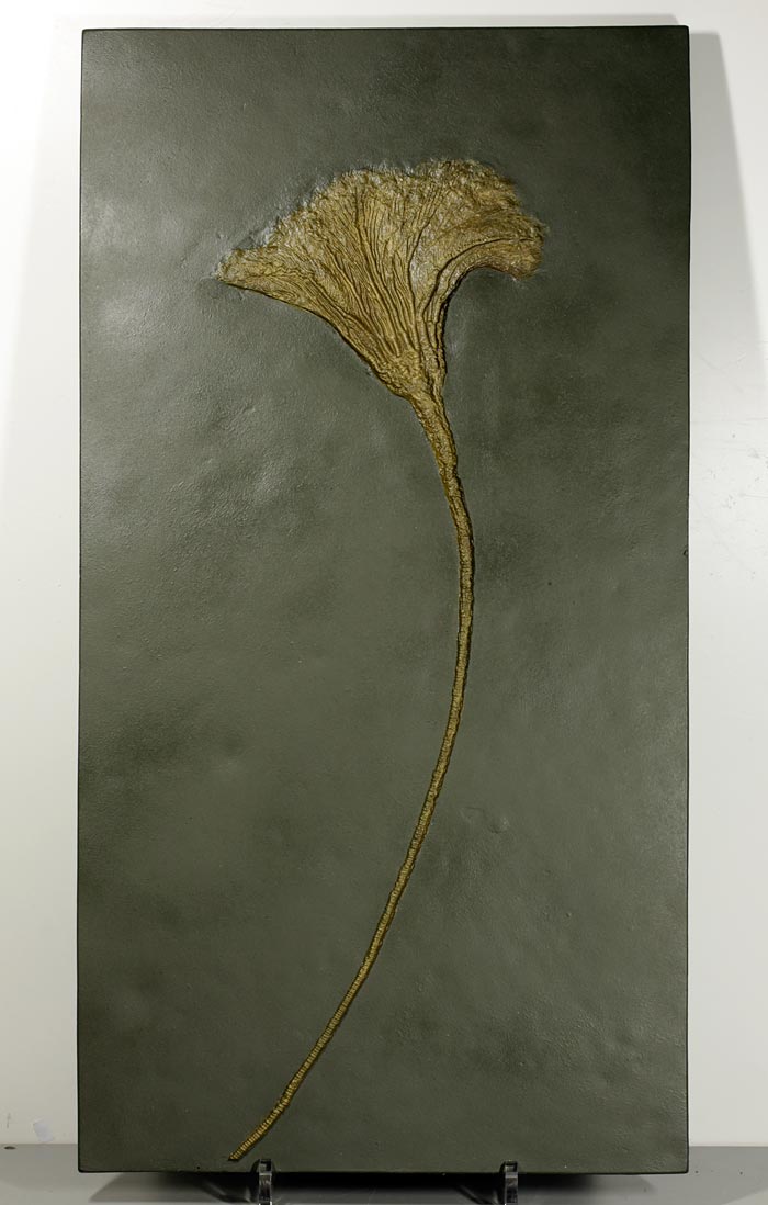 Seelilie aus dem Holzmadener Schiefer