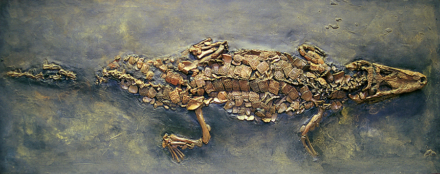 Replik eines groen Krokodil aus Messel