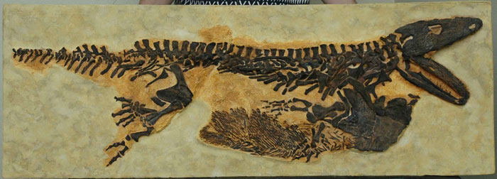 Replik eines Urlurches aus dem Rotliegenden