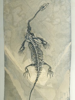 Schwimmsaurier aus China, Keichosaurier