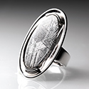 Ringe mit einem Muonionalusta Eisenmeteoriten