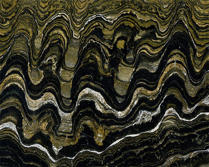 Stromatolithen aus Bolivien