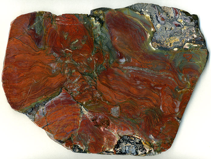Stromatolithen aus Amerika