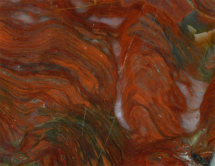 Stromatolithen aus Amerika
