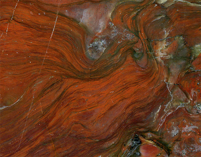 Stromatolithen aus Amerika