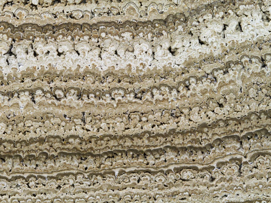 B�ndereisenerz (BIF) aus S�dafrika