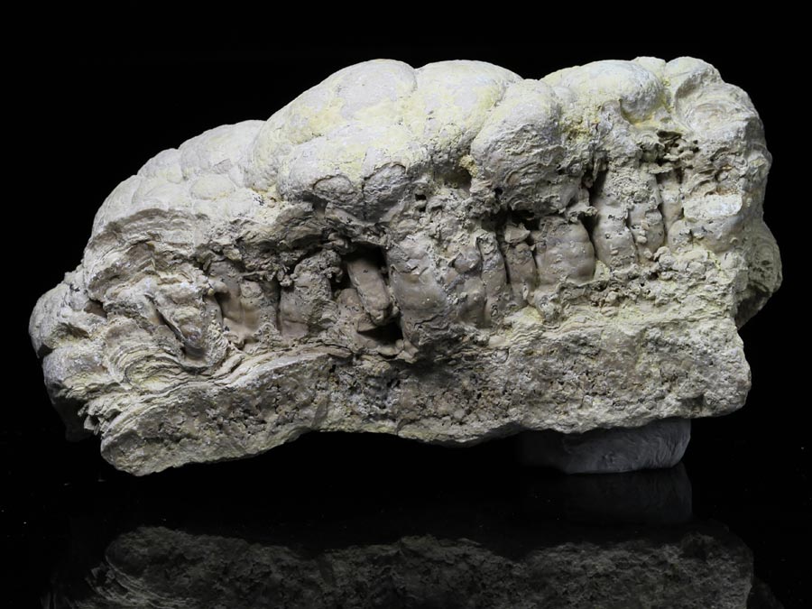 B�ndereisenerz (BIF) aus S�dafrika