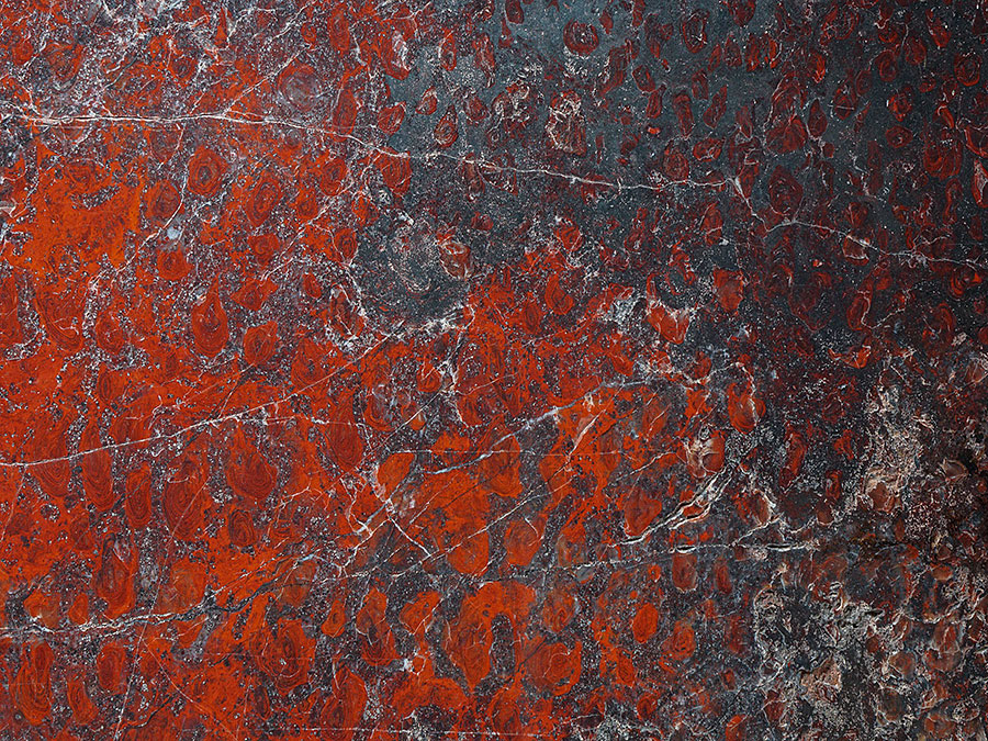 Stromatolithen-Platte