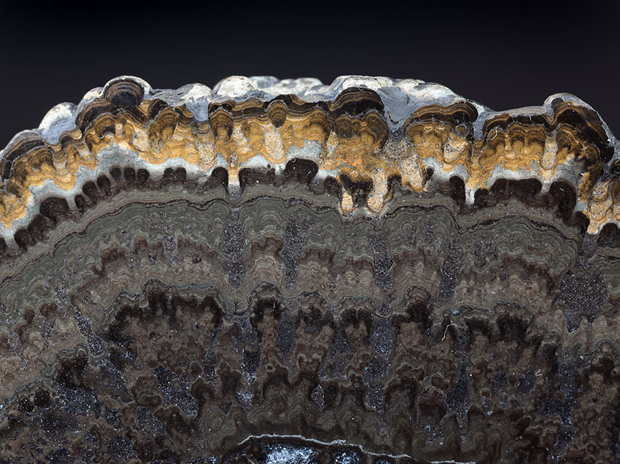 Stromatolithenplatte