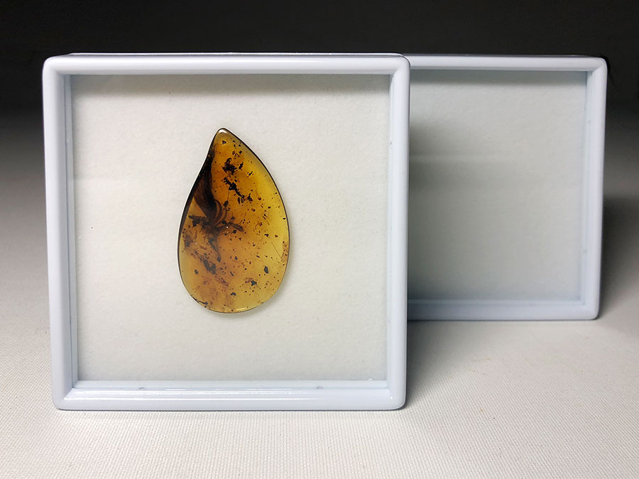 groes Sammelkstchen mit Samteinlage