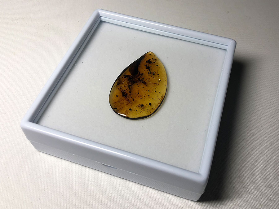 groes Sammelkstchen mit Samteinlage