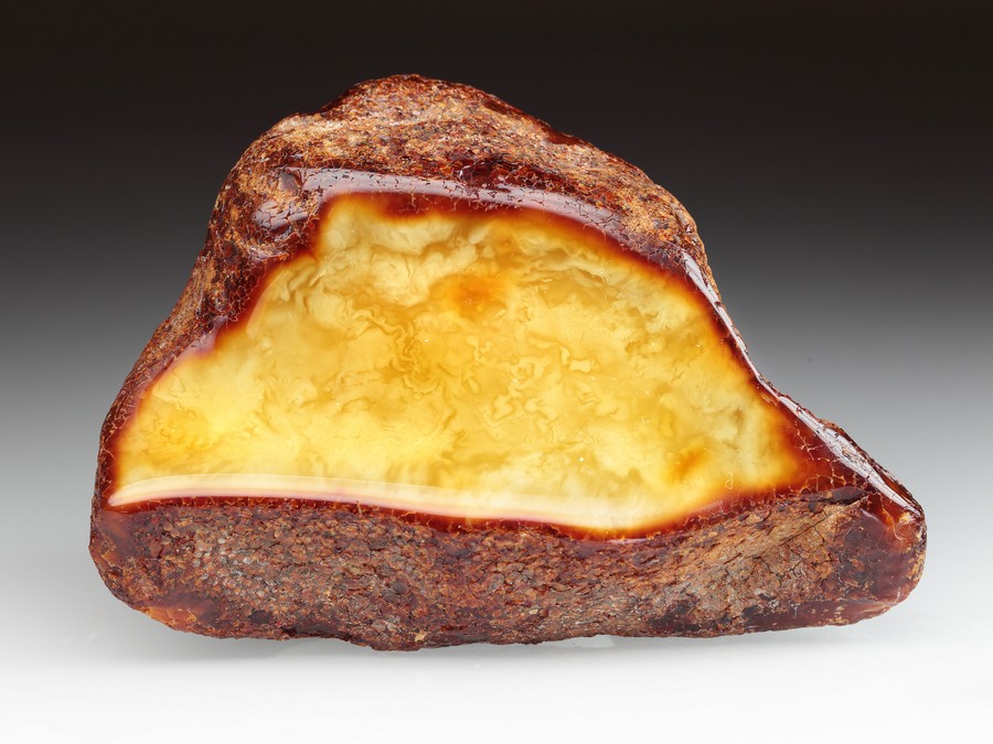 Rohbernstein
                                (S)