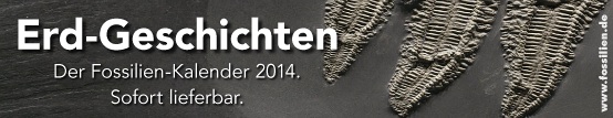 Fossilienkalender 2014