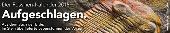 Fossilienkalender 2015