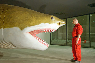 Megalodon - der größte Hai der Erdgeschichte