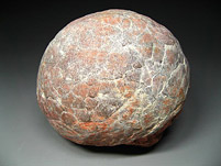 Sauriereier aus China