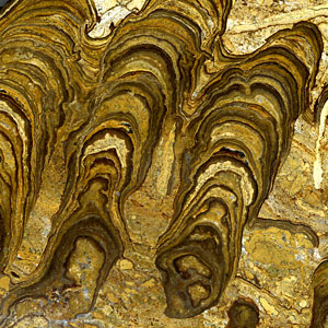 Stromatolithen aus Bolivien